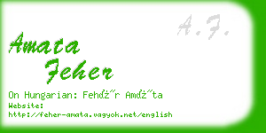 amata feher business card